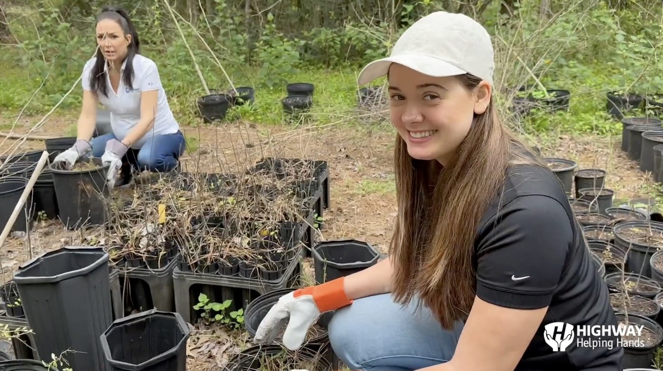 Forest Cleanup — Houston